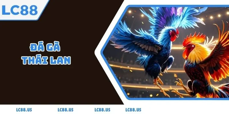Đá Gà Thái Lan - Trải Nghiệm Cá Cược Thưởng Lớn Trực Tuyến