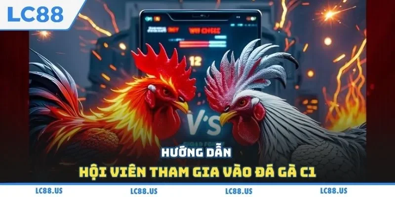 Hướng dẫn hội viên tham gia vào đá gà C1