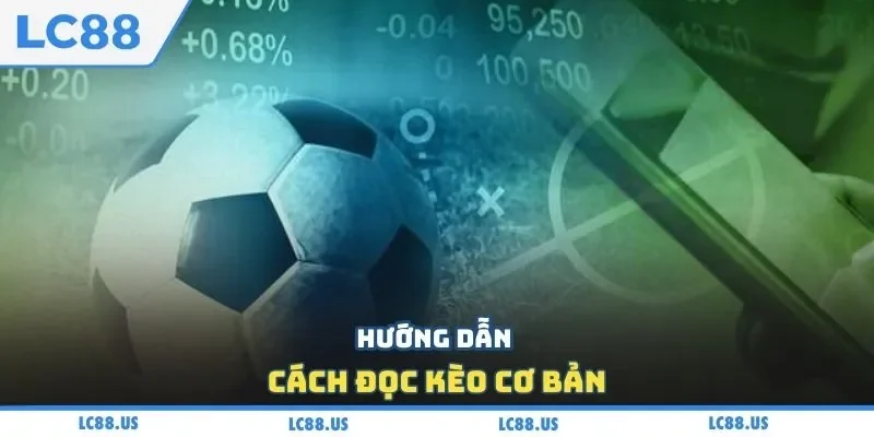 Hướng dẫn cách đọc kèo cơ bản