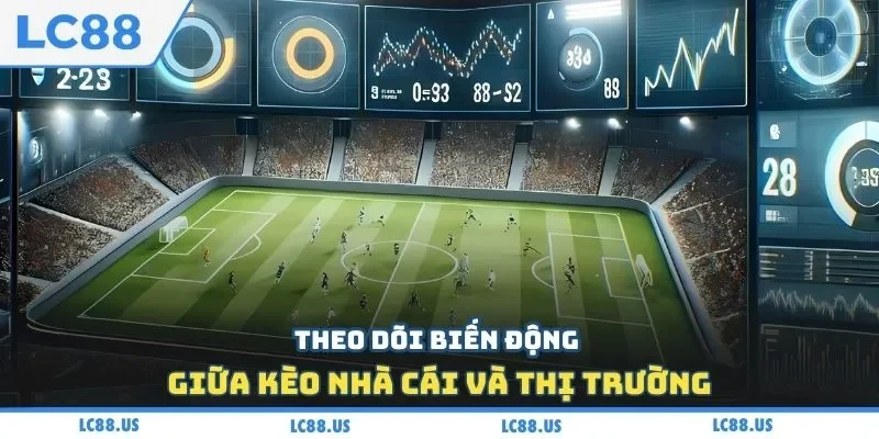 Theo dõi biến động giữa kèo nhà cái và thị trường