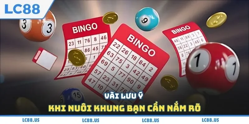 Vài lưu ý khi nuôi khung bạn cần nắm rõ